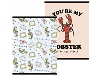 Friends A5 Lijn Schrift - 3 stuks