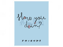 Friends A4 Lijn Schrift