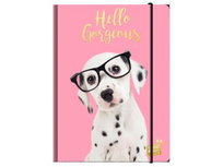 Studio Pets Hello Gorgeous Elastomap