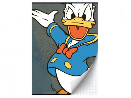 Donald Duck Popular A4 Ruit Schrift