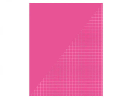 Basic Fuchsia A5 10mm Ruit Schrift - 4 stuks