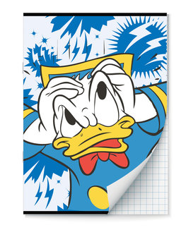 Donald Duck A4 Ruit Schrift - 2 stuks