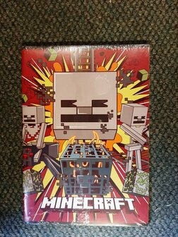 Minecraft A4 Ruit 10mm Schrift - 2 stuks 22/23