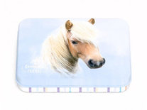 My Favourite Friends Opbergdoosje - Paard