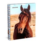 Amazone Brown Horse 2-rings Ringband 22/23