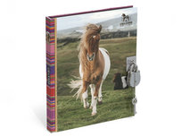 Amazone Dagboek Amazone Dagboek