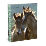 Amazone Two Brown Horses 2-rings Ringband 22/23 Amazone Two Brown Horses 2-rings Ringband 22/23