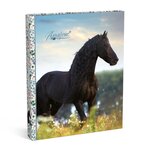 Amazone Black Horse 23-rings Ringband 23/24 Amazone Black Horse 23-rings Ringband 23/24
