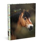 Amazone Brown Horse 23-rings Ringband 23/24 Amazone Brown Horse 23-rings Ringband 23/24